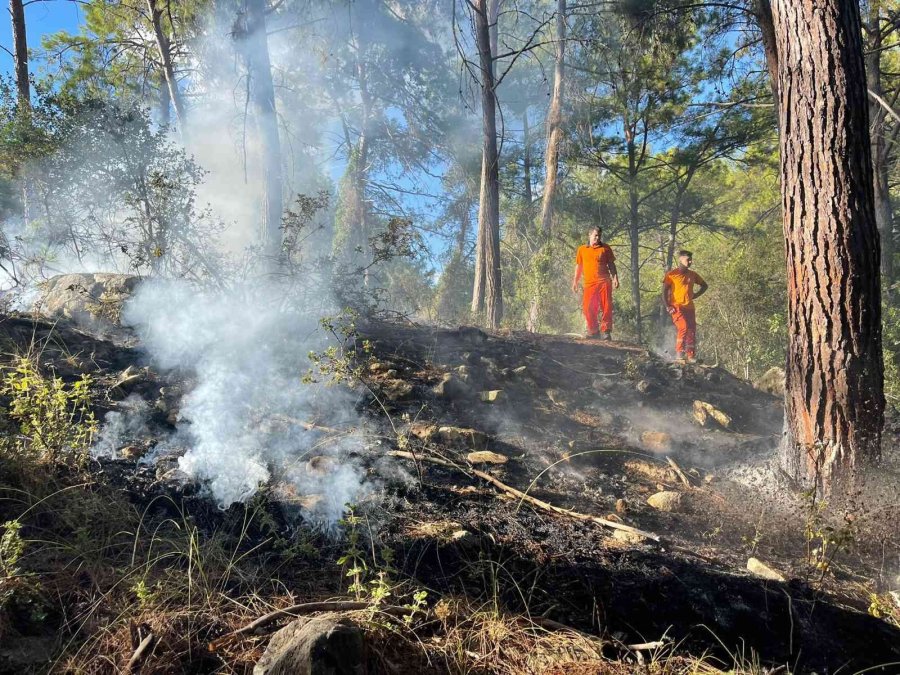 Alanya’daki Orman Yangını Hızlı Müdahaleyle Büyümeden Söndürüldü