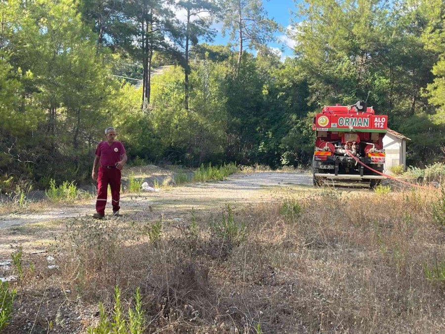 Alanya’daki Orman Yangını Hızlı Müdahaleyle Büyümeden Söndürüldü