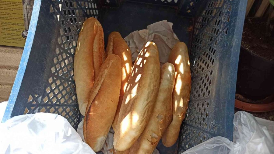 Hayırsever Muhtar 1 Yılda 550 Ekmek Dağıttı