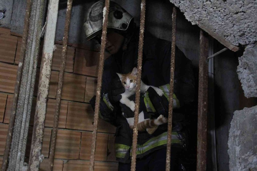 Önce Kurtarıldı, Sonra Kapı Kapı Sahibi Arandı