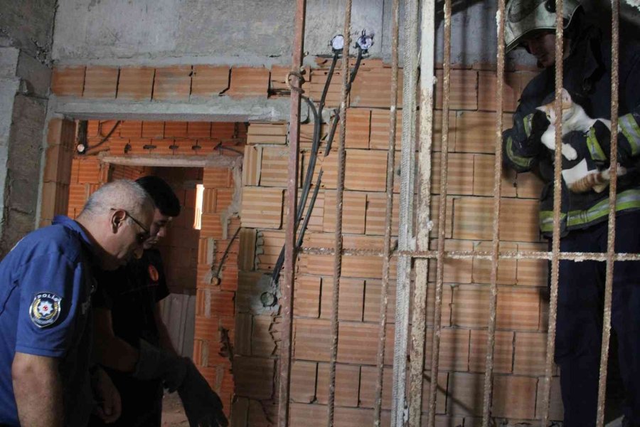 Önce Kurtarıldı, Sonra Kapı Kapı Sahibi Arandı