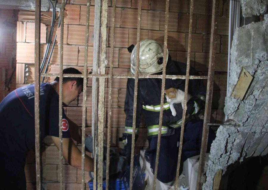 Önce Kurtarıldı, Sonra Kapı Kapı Sahibi Arandı