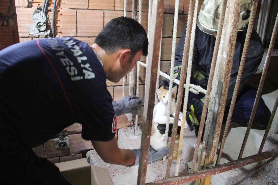 Önce Kurtarıldı, Sonra Kapı Kapı Sahibi Arandı