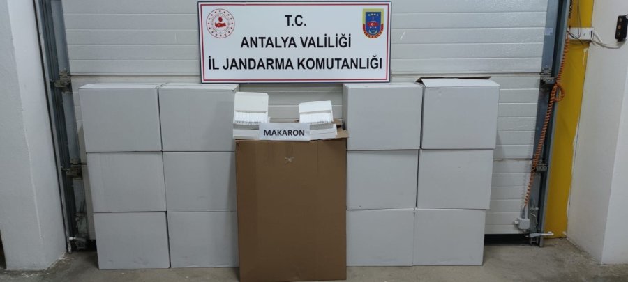 Antalya’da 150 Bin Adet Makaron Ele Geçirildi