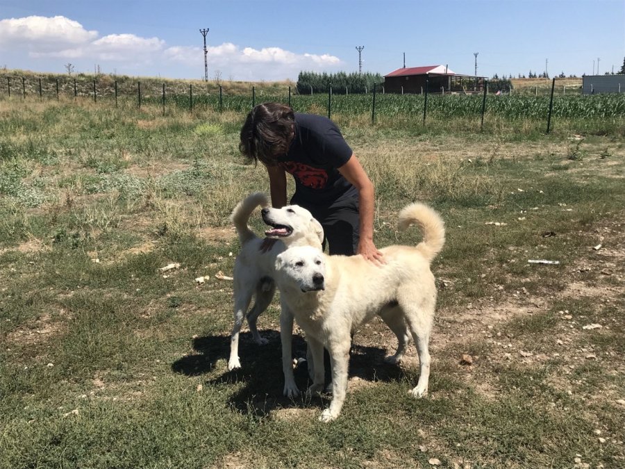 Anne Akbaş’tan Yürek Isıtan Görüntüler