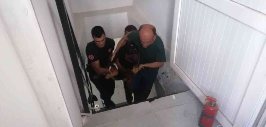 Antalya’da İtfaiyeden Bodrumda Yaşayan ’şişman Köpek’ Operasyonu