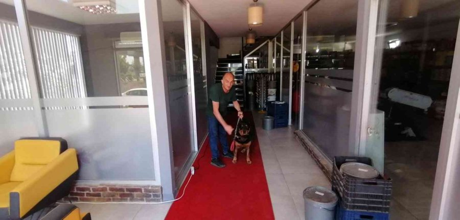 Antalya’da İtfaiyeden Bodrumda Yaşayan ’şişman Köpek’ Operasyonu