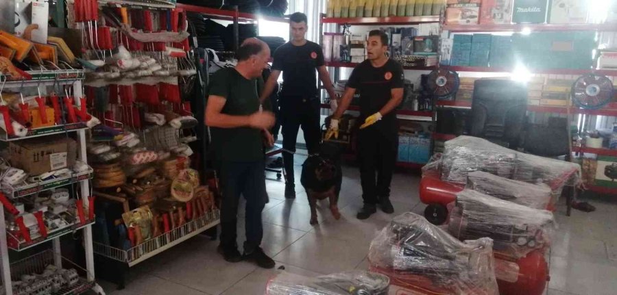 Antalya’da İtfaiyeden Bodrumda Yaşayan ’şişman Köpek’ Operasyonu