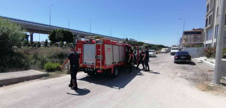 Antalya’da İtfaiyeden Bodrumda Yaşayan ’şişman Köpek’ Operasyonu