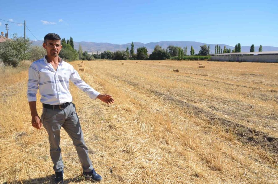 Köpeklerin Saldırısından Umut’u Kurtaran Sağlık Çalışanı Konuştu