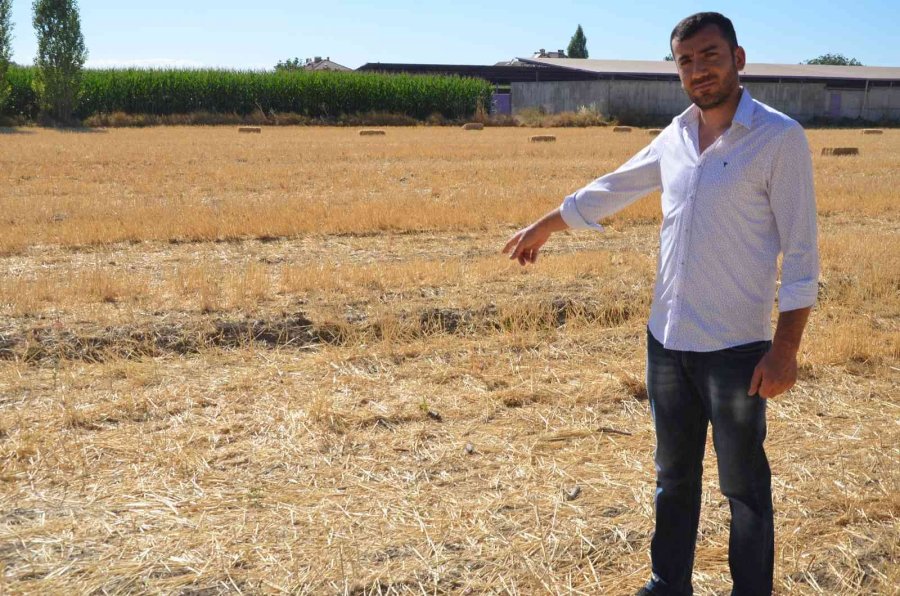 Köpeklerin Saldırısından Umut’u Kurtaran Sağlık Çalışanı Konuştu