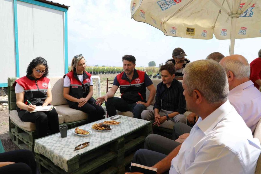 Eskişehir’de Maviyemiş Hasadı Başladı