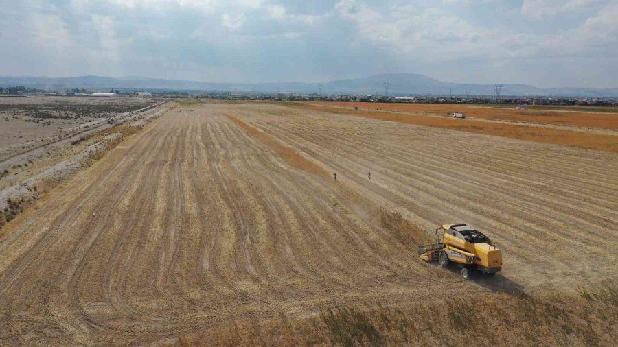 Başkan Altay: “kurak Arazilerde Aspir Üretiminin Yaygınlaşması İçin Çalışıyoruz”