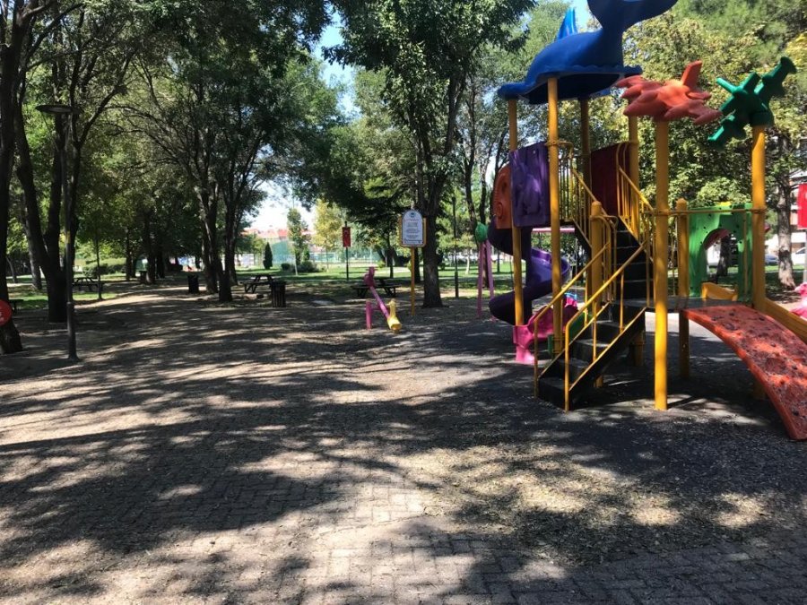 Kuş Dışkıları Bu Hale Getirdi