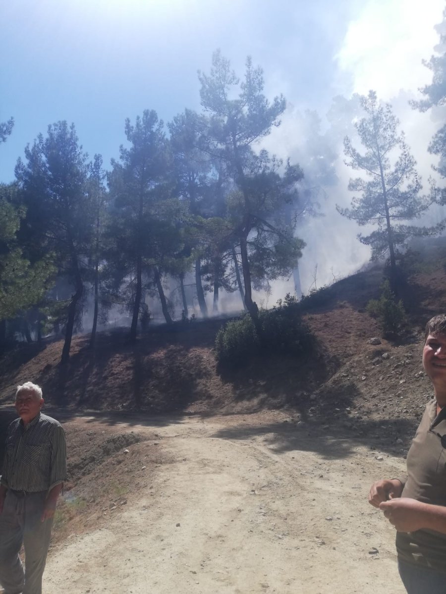 Antalya’da Çıkan Orman Yangını Kısmen Kontrol Altına Alındı