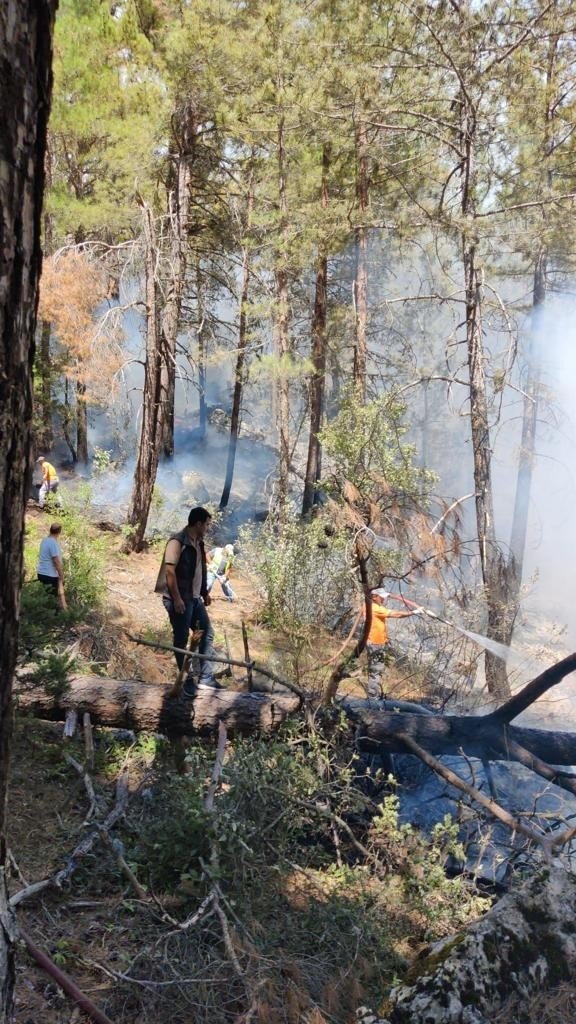 Antalya’da Orman Yangını