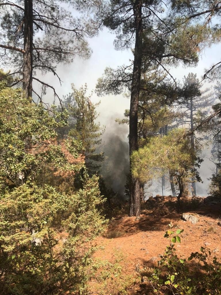 Antalya’da Orman Yangını