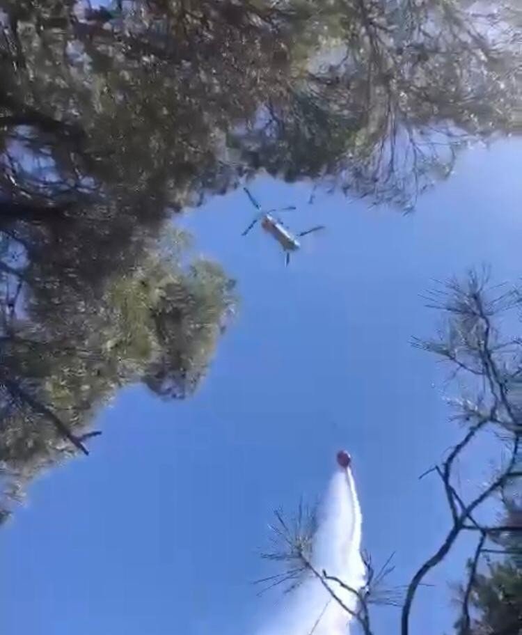 Antalya’da Orman Yangını