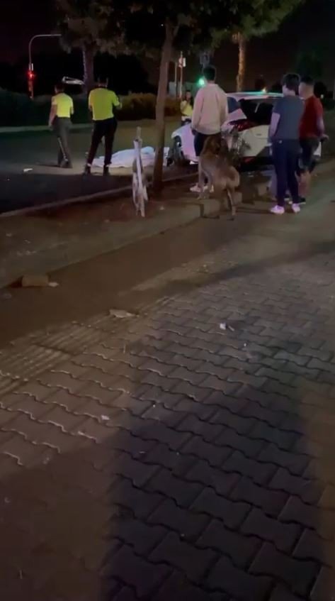 Kazada Ölen Kızın Anne Ve Babası Gözyaşlarına Boğuldu