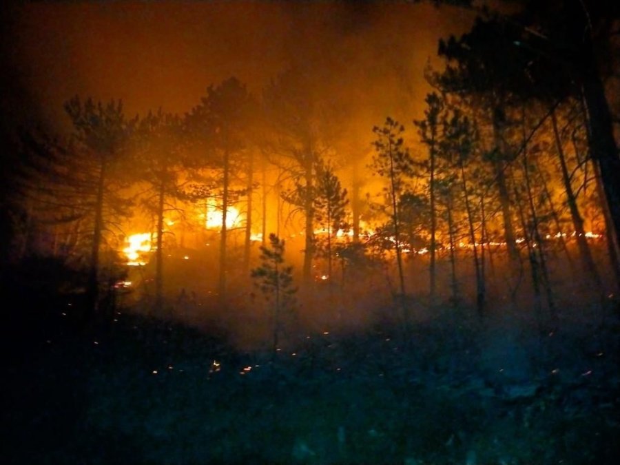 Konya’da Ormanlık Alanda Çıkan Yangın Söndürüldü