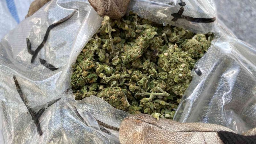 Et Tırından Esrar Çıktı...film Gibi Operasyon