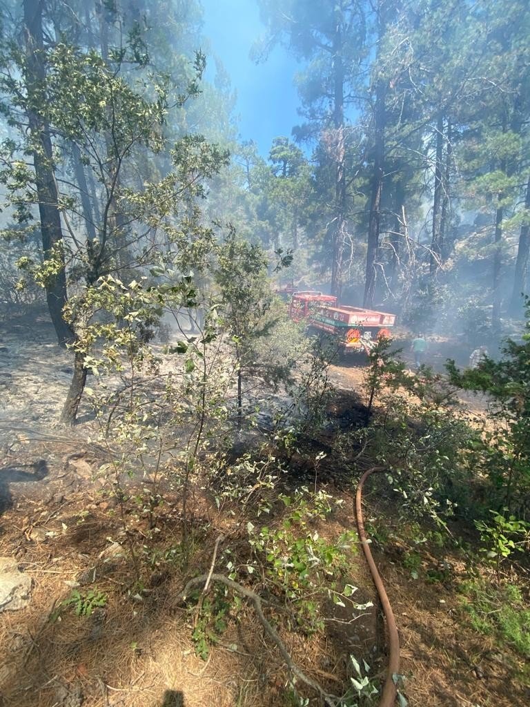 Antalya’da Orman Yangını Kontrol Altına Alındı