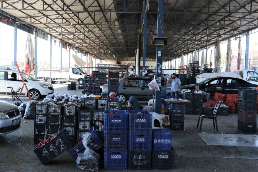 Antalyalı Çiftçilerin Domatese Talebi Yüzde 30 Arttı
