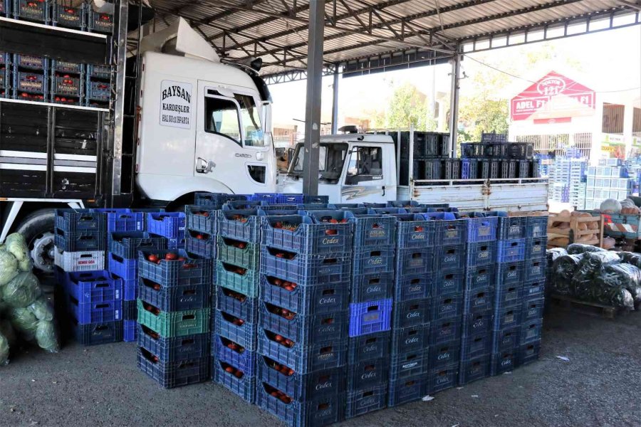 Antalyalı Çiftçilerin Domatese Talebi Yüzde 30 Arttı