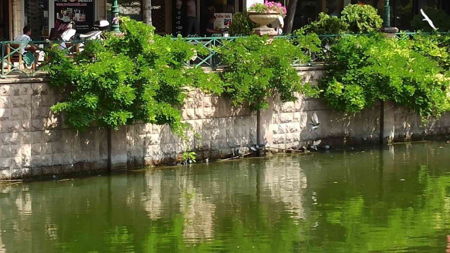 Gondol Bu Kez Minik Can İçin Hareket Etti