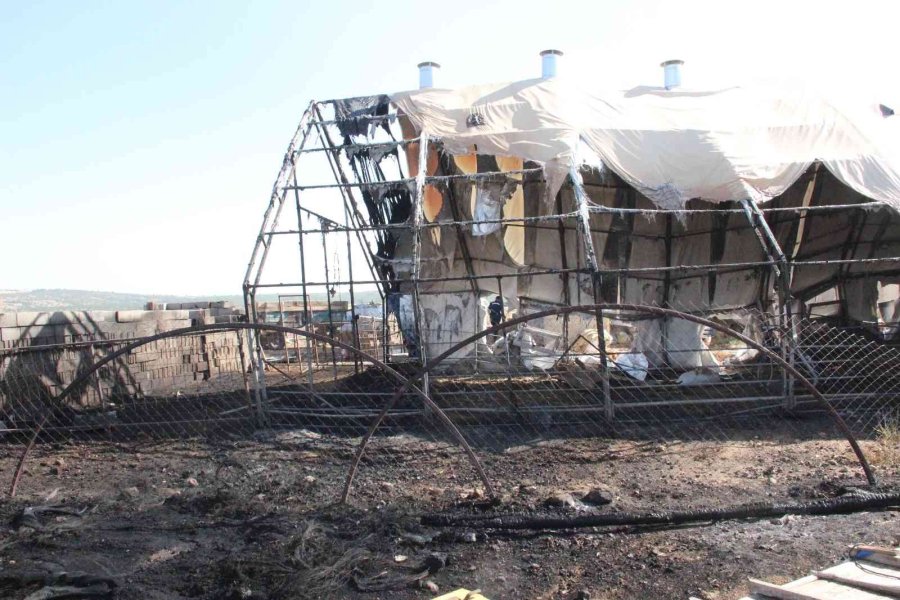 Karaman’da Ahır Yangınında 5 Büyükbaş Hayvan Telef Oldu