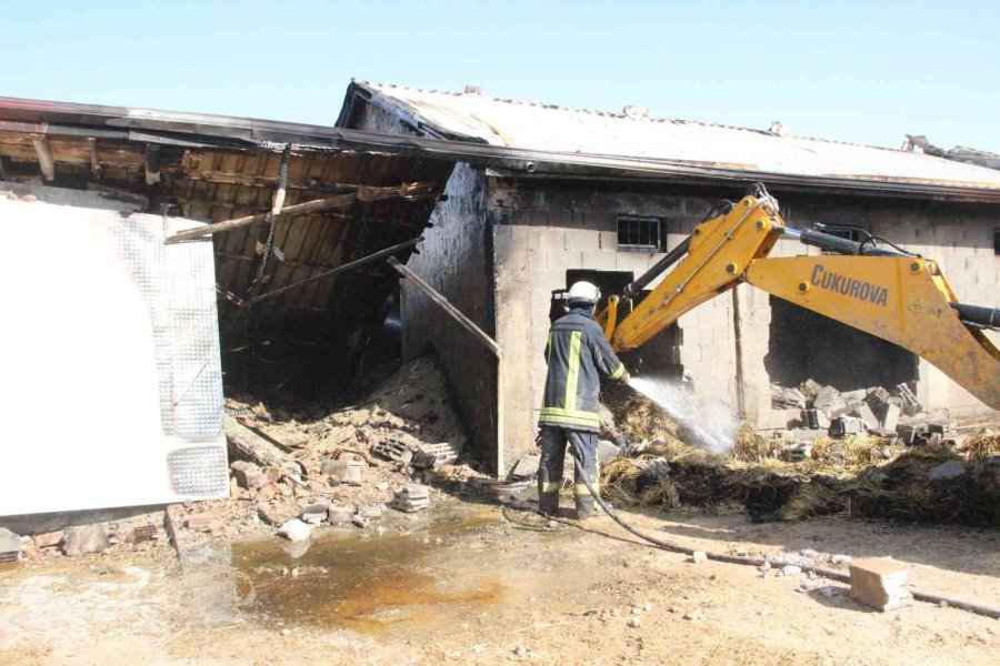 Karaman’da Ahır Yangınında 5 Büyükbaş Hayvan Telef Oldu