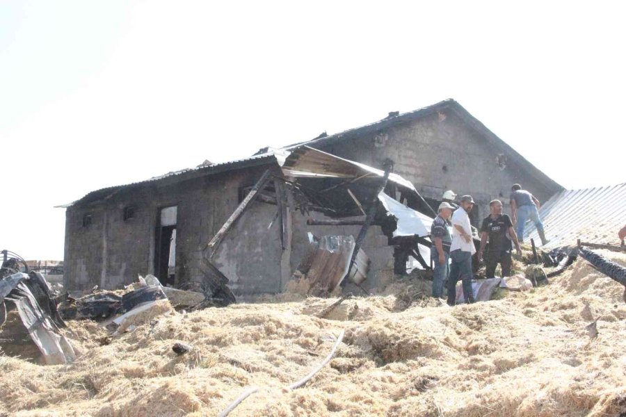 Karaman’da Ahır Yangınında 5 Büyükbaş Hayvan Telef Oldu