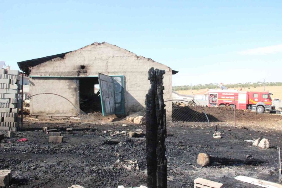 Karaman’da Ahır Yangınında 5 Büyükbaş Hayvan Telef Oldu