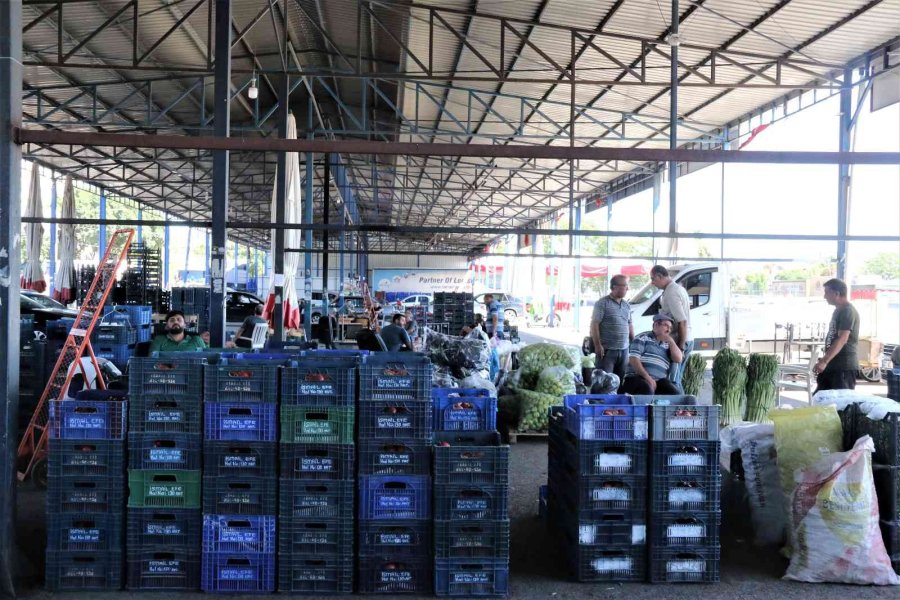 Antalyalı Çiftçilerin Domatese Talebi Yüzde 30 Arttı