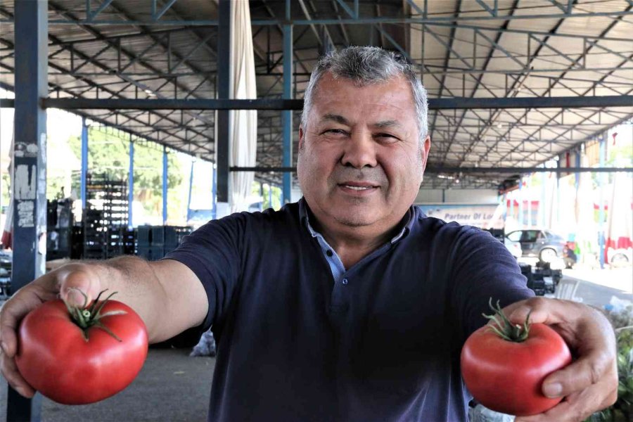 Antalyalı Çiftçilerin Domatese Talebi Yüzde 30 Arttı