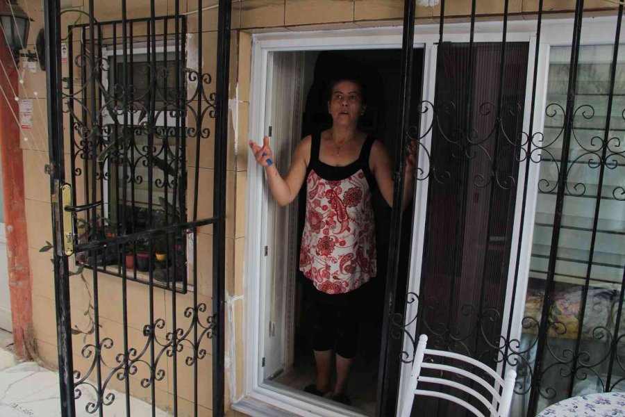 Uyutulmak İstenen Köpeğe Kıyamadı, Komşusuyla Karakolluk Oldu