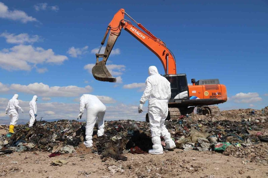 Sally 1 Yıldır Kayıp