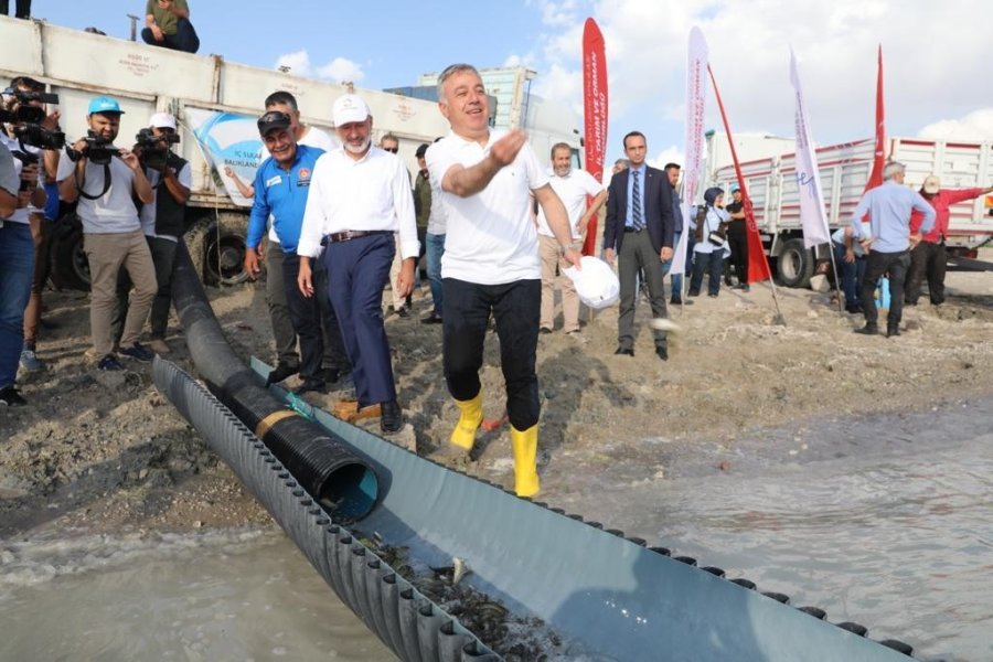 Kayseri’de 2 Milyon Yavru Sazan Balığı Sularla Buluşturuldu