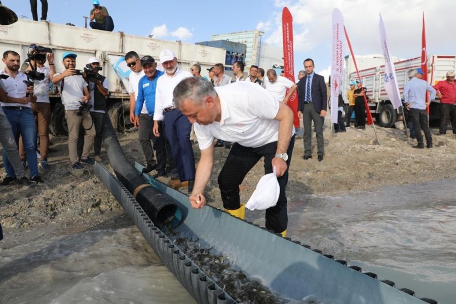 Kayseri’de 2 Milyon Yavru Sazan Balığı Sularla Buluşturuldu