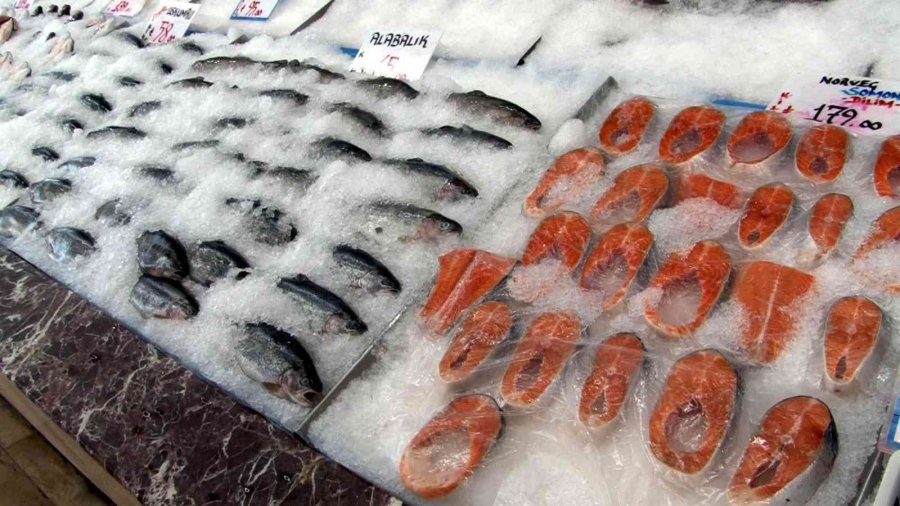 Balık Sezonu Açıldı, Tezgahlar Balıkla Doldu