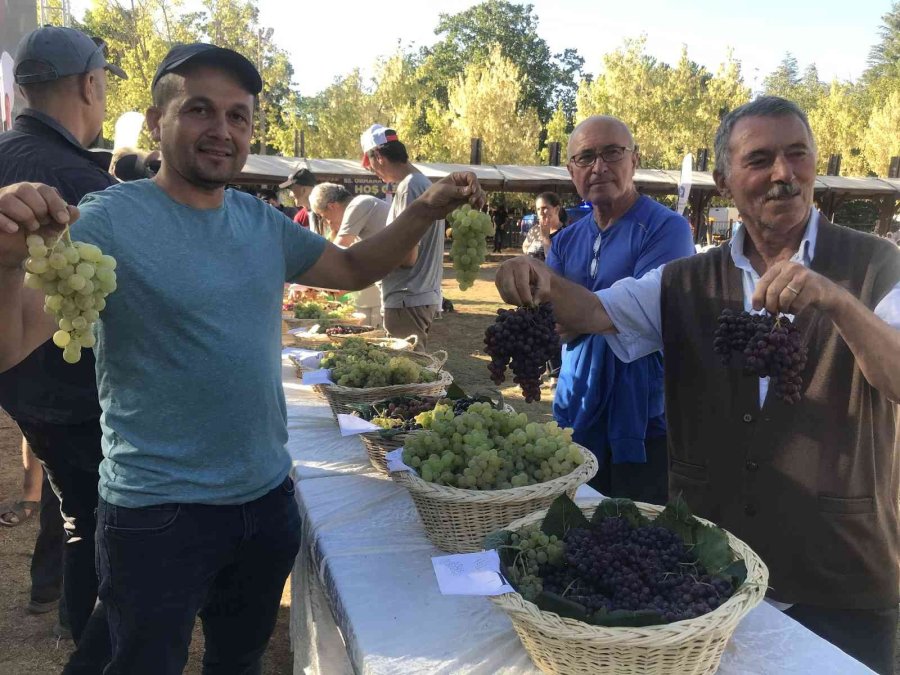 55 Yıllık Gelenek Renkli Görüntülere Sahne Oldu