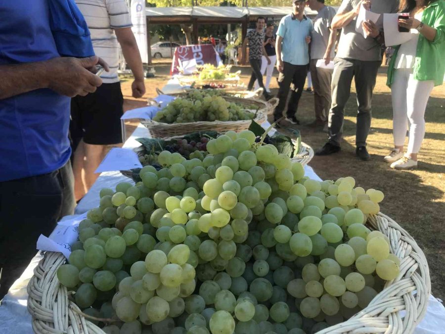 55 Yıllık Gelenek Renkli Görüntülere Sahne Oldu