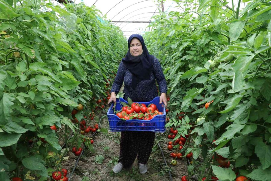 Toprakları Suya Kavuşan Manavgatlı Çiftçinin Yüzü Güldü