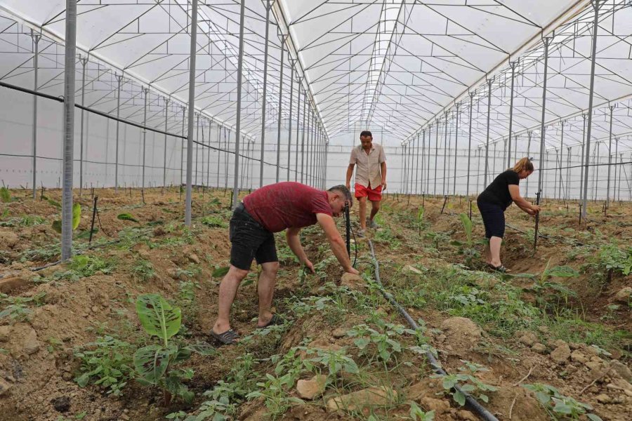 Toprakları Suya Kavuşan Manavgatlı Çiftçinin Yüzü Güldü