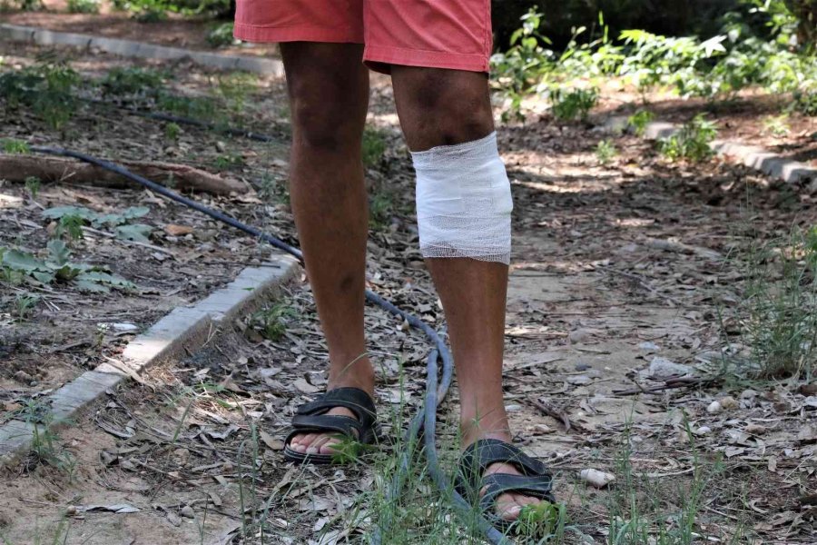 Çalınan Köpeğini Kurtarmak İsterken Bıçaklanıp Ölümden Döndü