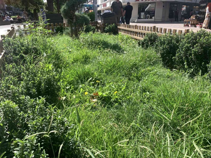 Hamamyolu’ndaki Bu Alanlar Bakım Bekliyor