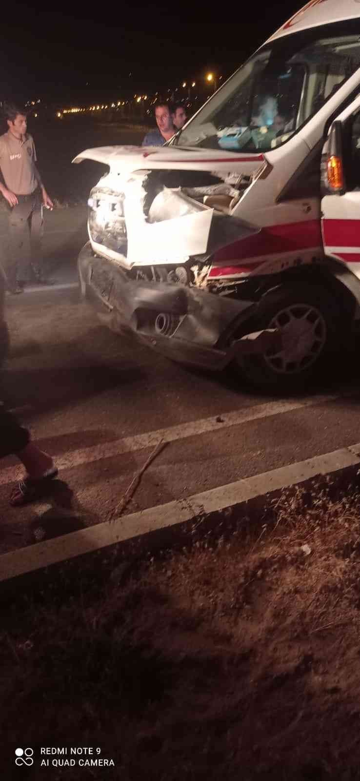 Ambulansın Çarptığı 20 Koyun Telef Oldu