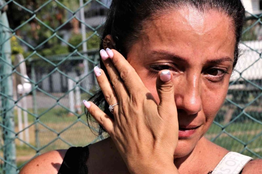 Gözyaşları İçinde Aradığı Sokak Köpeğini Bulana Ödül Verecek