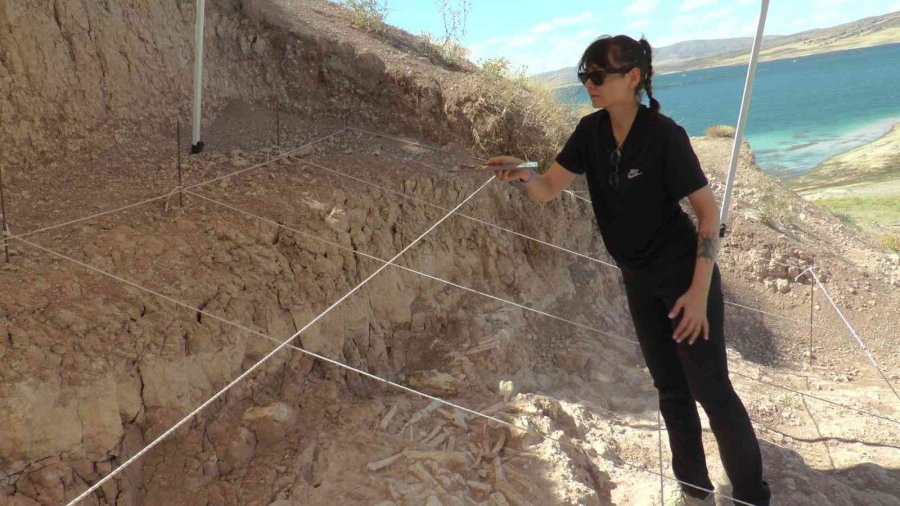 O Bölgede Tarihi Gelişme