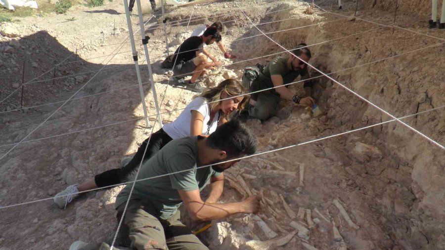 O Bölgede Tarihi Gelişme